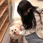 蓝方战地模拟器手机版下载